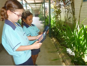 Children use various apps to record and display their knowledge in a Science Unit. 